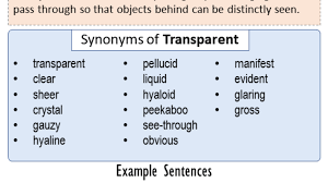 How do transparent synonyms differ?